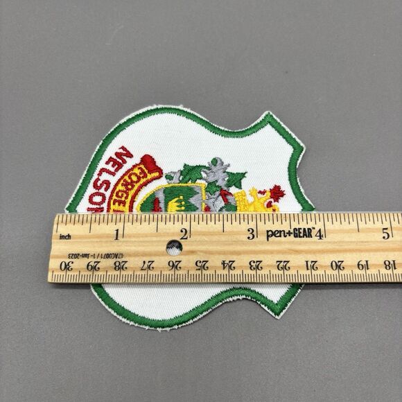 Nelson BC Canada Coat of Arms Patch Pair Vintage Embroidered Forge Ahead Crest - Picture 5 of 5